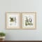 Homeroots Set Of Two Sage Treasures II Brown Framed Wall Art, 2PK 606710 - alternate 3