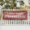Signmission Farm Fresh Strawberries, 24 Inch x 72 Inch, Vinyl Banner B-72-30616 - alternate 2