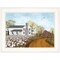 Homeroots High Cotton 1 White Framed Print Wall Art 406340 - alternate 1
