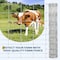 Wrightmaster 58.8 in. x 328 ft. 14-Gauge Reinforced Hot-Dip Galvanized Poultry Fencing ZOR-P461624 - alternate 3