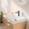 Hansgrohe Rebris S Single-Hole Faucet 110 with Pop-Up Drain, 1.2 GPM in Matte Black 72517671 - alternate 3