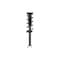 Fcs Struts Suspension Strut And Coil Spring Assembly 1355163 - alternate 1