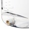 Nalgene Carboy, Polycarbonate, 536 mm H, PK4 2317-0050 - alternate 2