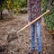 Corona Tools Square Point Shovel, 16-Gauge, 43 in. Wood Handle SS 11000 - alternate 4