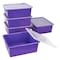 Storex Deep Storage Tray with Lid, Purple 62548U05C - alternate 3