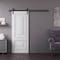 Sartodoors Barn Door 42x84 inches White Solid Core Modern Interior ROYAL9822BD-B-EMAL-4284 - alternate 1