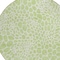 Homeroots 8' Artichoke Green And Ivory Round Geometric Washable Indoor Outdoor Area Rug 595045 - alternate 4