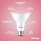 Bulbrite 90-W Equivalent, Pink Color PAR38 Weatherproof Outdoor E26 Medium Base Flood LED Light Bulb COLOR 861910 - alternate 6