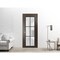 Sartodoors Solid French Door Frosted Glass Planum 2122 24x96 Solid Core Modern Interior PLANUM2122ID-CA-24 x 96-Butterfly - alternate 3