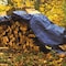 Perform Tool Tarpaulin Water Proof/ Mildew And Tear Resistant; 8 Foot x 10 Foot; Blue; With Grommet W6004 - alternate 6