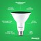 Bulbrite 90-W Equivalent, Green Color PAR38 Weatherproof Outdoor E26 Medium Base Flood LED Light Bulb COLOR 861909 - alternate 5