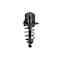 Fcs Struts Suspension Strut And Coil Spring Assembly 1345782L - alternate 4