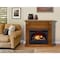 Procom Heating Dual Fuel Ventless Gas Fireplace, 26,000 BTU, T-Stat Control, Apple Spice Finish FBNSD28T-J-AS - alternate 2