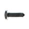 Zoro Select 1/4"-20 x 3/4 in Phillips Pan Machine Screw, Plain 18-8 Stainless Steel, 25 PK 31-PP-25C-75 - alternate 2