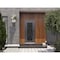 Vdomdoors Aluminum Door Iron 1601 Black Entry Steel Metal Classic Painted 36 x 80 (36 x 80)-Right Inswing IRON1601EXD-BLK-W36xH80-RH-I - alternate 4