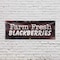 Signmission Farm Fresh Blackberries, 24 Inch x 72 Inch, Vinyl Banner B-72-30579 - alternate 4
