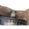 Caterpillar SHAFT GP WT, CATERPILLAR OEM 1227979 1227979 - alternate 1