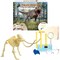 Hamiltonbuhl Paleo Hunter Dig Kit for STEAM Education - Mammoth Rex PH-MMT - alternate 1