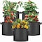 Healsmart Simple Deluxe Grow Bags 5 Gallon Planter Pots with Handles, Black, 5PK GLGROWBAG5X5BLKV3 - alternate 1