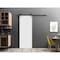 Sartodoors Sliding Barn Door with Hardware Planum 0990 White 32x84 Solid Core Modern Interior PLANUM0990BD-B-BEM-3284 - alternate 1