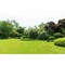 Z-Lite Tiberius 6 Light Outdoor Post Mounted Fixture, Black/Clear Seedy, 14.25 In W x 116.75 In H 5017PHXLR-564P-BK - alternate 4