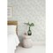 A-Street Prints Star Flower Light Green Floral Trail Wallpaper 4172-27513 - alternate 3