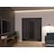 Vdomdoors Aluminum Door Iron 1600 Black Entry Steel Metal Classic Painted 60 x 80 (12+36+12 x 80)-Left Inswin IRON1600EXD-BLK-W12+36+12xH80-LH-I - alternate 2