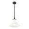 Z-Lite Fleur Matte Black 1 Light Pendant 1958P12-MB - alternate 4