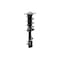 Fcs Struts Suspension Strut And Coil Spring Assembly 1334146R - alternate 3