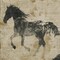 Homeroots 5' X 8' Beige And Charcoal Horse Washable Indoor Outdoor Area Rug 618638 - alternate 1