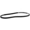Motorcraft Serpentine Belt,  JK4361A - alternate 2