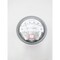Dwyer Instruments PRESSURE GAUGE 4IN 0-1IN-H2O 163282-00 W26D - alternate 5