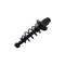 Fcs Struts Suspension Strut And Coil Spring Assembly 1345406R - alternate 3