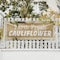 Signmission Farm Fresh Cauliflower, 48 Inch x 120 Inch, Vinyl Banner B-120-30586 - alternate 3