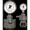 Filter Pump Gauge Guard and Gauge, 0-30 psi, Polypro/FKM, 1/2in FPT process connection, 1/4in Gauge Connection PGGB-030-V - alternate 2