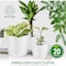 Lifemaster Eco-Friendly Plant Pot Set, Assorted Sizes, with Drainage Holes, Stackable Planters, 20PK LMFLOPWH22 - alternate 3