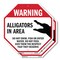 Signmission Warning Alligators in Area Do Not S, 6 inch X 6 inch, Plastic Sign, 2PK OC-P-2PACK-6-339 - alternate 1