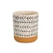 Homeroots Set of Four Cream Dolomite 3 Ounce Round Pot Planters, 4PK 517965 - alternate 4