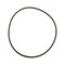 Cnh O RING, CNH OEM 70934743 70934743 - alternate 2