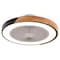 Vaxcel Ceiling Fan, 6 Speeds, 120V, 20 in W F0131 - alternate 1