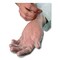 Ambitex V5201 Series Powder-Free Vinyl Gloves, Small, 3 mil Thick, 9" Long, Clear, 1000PK VSM5201 - alternate 4