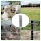 Wrightmaster 49.6 in. x 328 ft. 14-Gauge Reinforced Hot-Dip Galvanized Poultry Fencing ZOR-P461621 - alternate 3