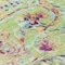 Homeroots 5' X 8' Artichoke Green And Pink Paisley Washable Indoor Outdoor Area Rug 588589 - alternate 3