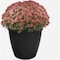 Hc Companies Eclipse 10'' Black Planter with Saucer ECA10000G18 - alternate 5