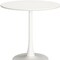Homeroots 32" White Steel Pedestal Base Round Top Dining Table 572233 - alternate 5
