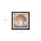 Homeroots Shell Black Framed Print Wall Art 404898 - alternate 3