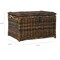 Happimess Caden 30in Wicker Storage Trunk, Brown HPM9001B - alternate 4