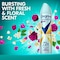 Degree Exotic Flowers Sexy Intrigue Antiperspirant Deodorant Dry Spray for Women, 3.8 Ounce, 12PK 69999380 - alternate 4