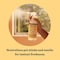 Mrs. Meyers Clean Day Clean Day Pets Liquid Odor Neutralizer 12 oz 12111 - alternate 2