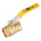 Revalved 1" Brass Ball Valve 600 WOG Female Threaded NPT Full Port, Lead-Free REV100TH - alternate 1